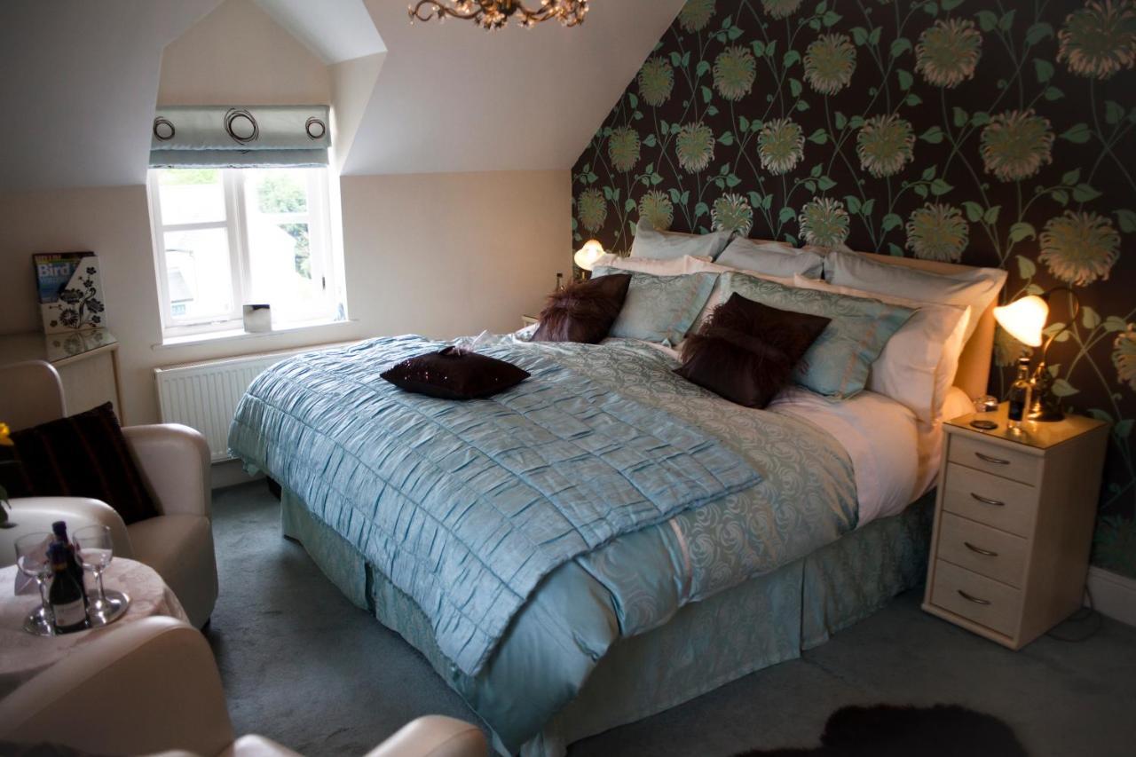 Y Garth Luxury Bed And Breakfast Dinas  Exteriör bild