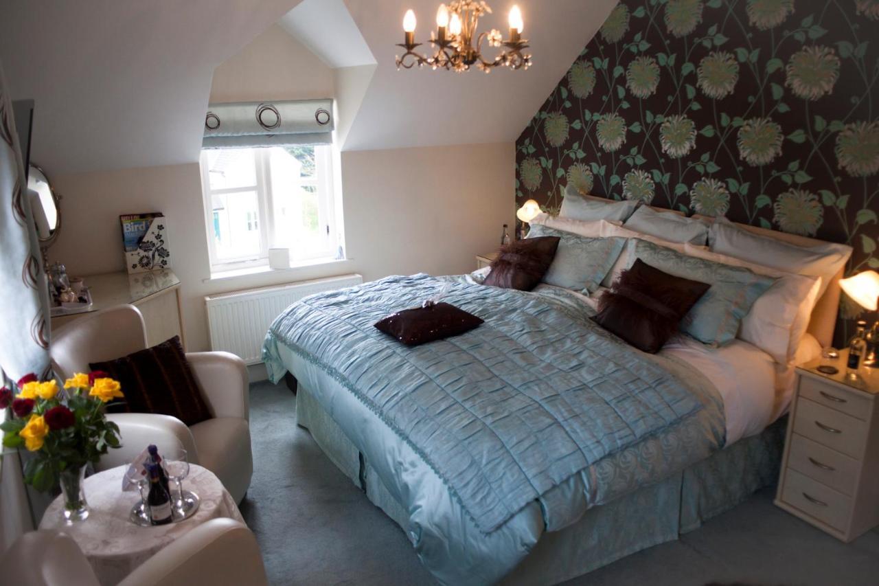 Y Garth Luxury Bed And Breakfast Dinas  Exteriör bild